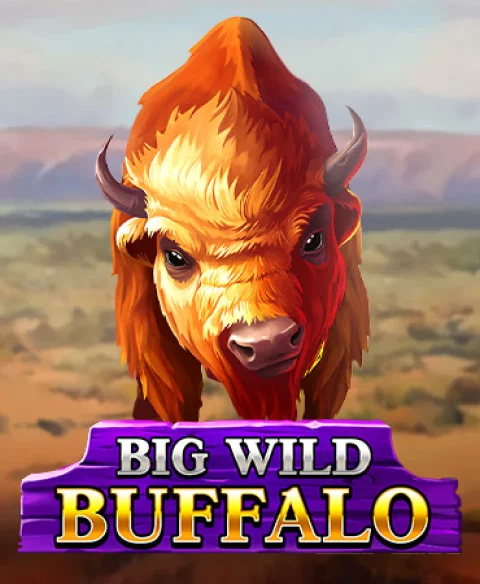 Play Big Wild Buffalo at Win Zino Casino